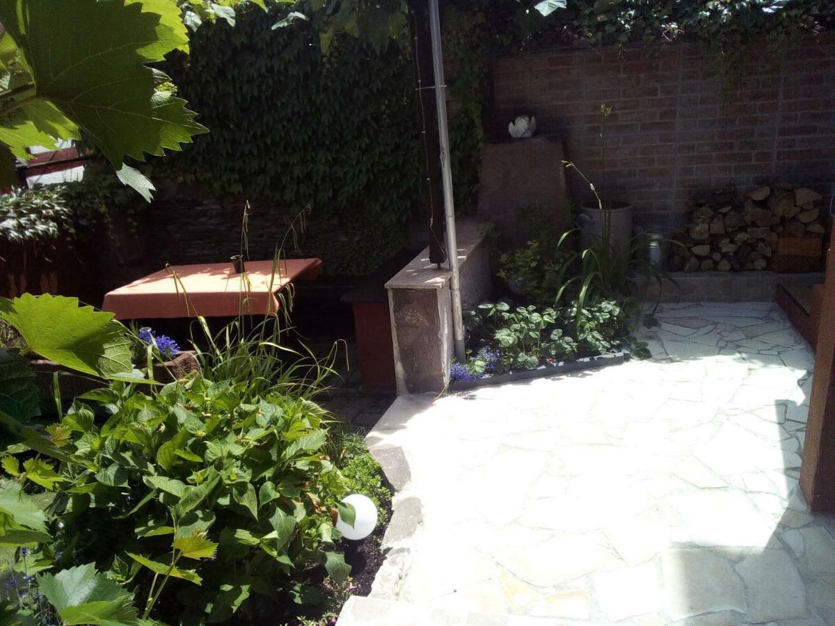 Haus Selina Βίλα Briedel Εξωτερικό φωτογραφία