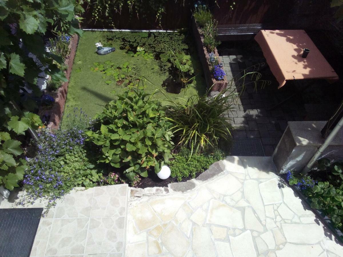 Haus Selina Βίλα Briedel Εξωτερικό φωτογραφία